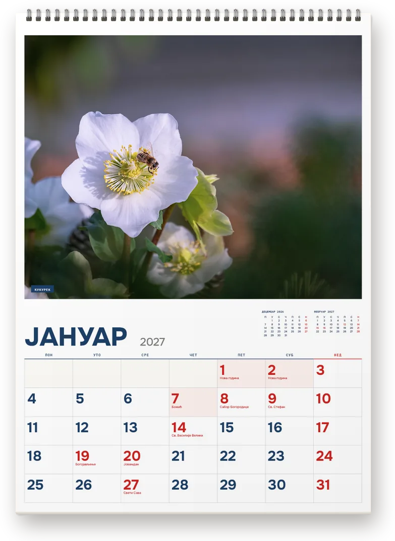 Kalendar Cveće, januar 2027